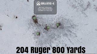 Sako 204 Ruger 800 Yards