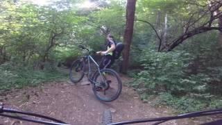 Cycling in Vitosha mountain and Boyana neighbourhood - Sofia, Bulgaria