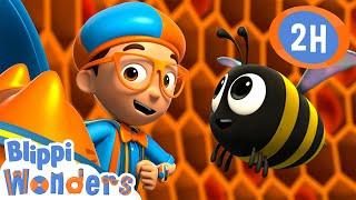 Honey | Blippi Wonders | Preschool Learning | Moonbug Tiny TV