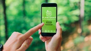 PlantSnap: The App that Identifies Plants in an Instant