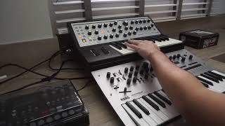 Sunday Synth Jam - Sub Phatty and Minilogue