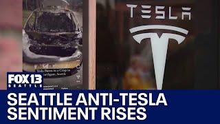 Rising anti-Tesla sentiment in Seattle leads to protests, vandalism | FOX 13 Seattle