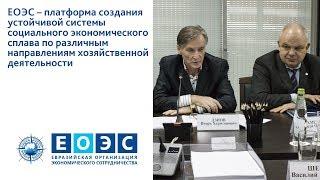 ЕОЭС – платформа создания устойчивой системы социального экономического развития