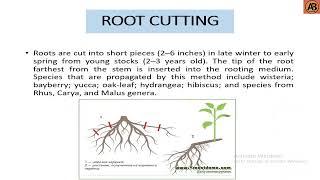 Types of Cuttings ।। "Learn with AB Tusar"