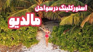 چرا باید به مالدیو سفر کنیم|ولاگ سفر به مالدیو|اسنورکلینگ در سواحل مالدیو|زیباترین جزایر مالدیو|بهشت