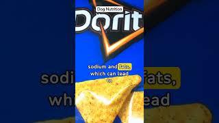 Snack Alert: Can Dogs Eat Doritos? | Pet Nutrition Insights #shorts #dognutrition #dogdiettips #dog