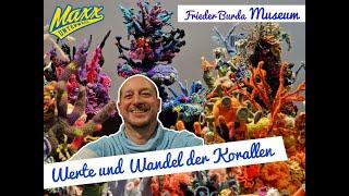 Wert und Wandel der Korallen | Frieder Burda Museum | filmed with S22 Ultra