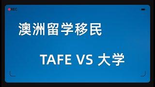 澳洲留学移民 TAFE VS 大学，如何选择？