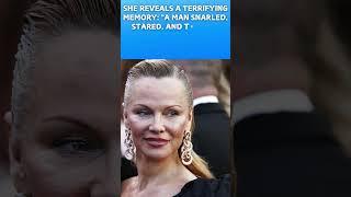 Pamela Anderson Reveals Shocking Plane Incident Mistaken for Dixie Chicks Member!#drealfacts