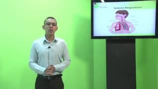 AULA 1 - SISTEMA DE INFORMAÇÃO E LOGÍSTICA