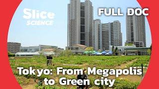 Tokyo: reinventing the planet’s biggest metropolis through nature | SLICE SCIENCE | FULL DOCUMENTARY