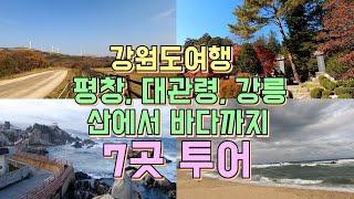 강원도 여행지 평창 대관령 4곳, 강릉 3곳, 산에서 바다까지 강원도 가볼만한 곳 7곳 투어