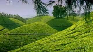 Rhapsody Of Hills Munnar Kerala