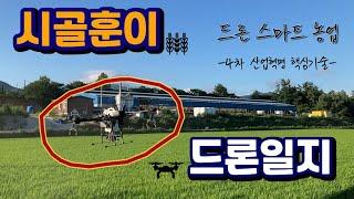 시골훈이 드론일지 【1】  |  해남군 청년드론방제단
