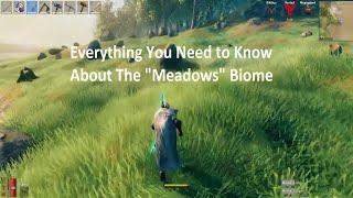 Biome Breakdown: The Meadows - Things You Need to Know About The "Starter" Biome