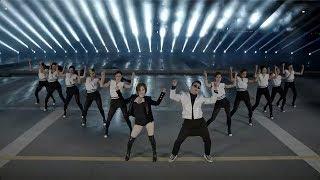 PSY - GENTLEMAN M/V