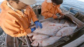 The Deckhands Try a New Station! | Alaska Halibut Fishing