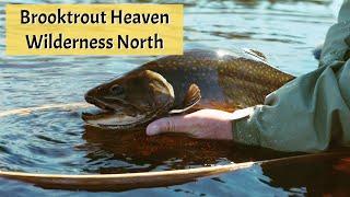 The Giant Brooktrout of Northern Ontario