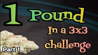 1 POUND in a 3x3 CHALLENGE Part 1. setting up , Grown under the Mars Hydro #FC4800