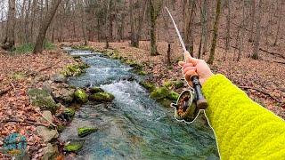 The BEST DAY OF FLY FISHING THIS YEAR! (Big Trout in a Tiny Creek)