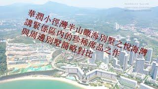 華潤小徑灣半山瞰海別墅之悅海灣，講緊係區內的珍稀席品之作；與周邊別墅簡略對比