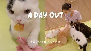 A Day Out in Osaka | vegan cafe, garden and cat cafe