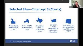 Meet the New Criminal Justice-Mental Health Learning Sites