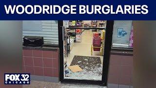 Several Woodridge businesses burglarized early Sunday, police say