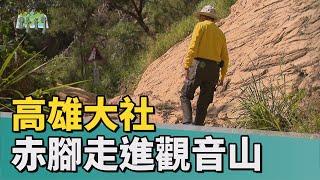 Walk!野行|高雄大社 赤腳走進觀音山