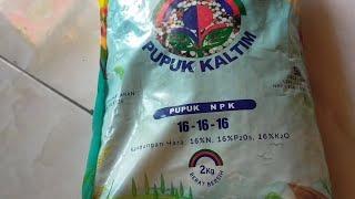 review pupuk NPK pelangi. produksi pupuk kaltim.