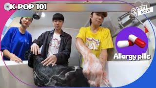 [Weekly BTS] Jin took allergy pills so he could bathe abandoned dogs at animal shelter