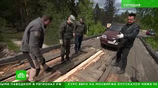 ничей мост