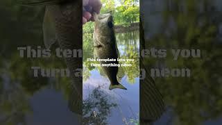 How does it look #fishing #fisherman