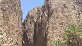 Exploring an oasis and wadi that runs into the Gulf of Aqaba