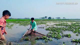 Father and soon net fishing  in beautiful village | Fishing video | (part 3)