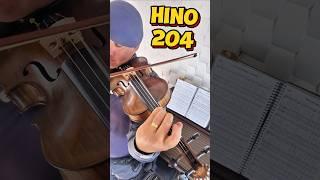 Hino 204 #gimenezluthieria