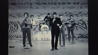 Quad City Ramblers (the Turtles):  "Too Much Heartsick Feeling"  (1968)