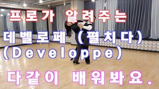 프로가 알려주는 왈츠 데벨로페 킥 (Developpe Kick) / Ballroom Dance Waltz/댄스튜브 ep 33