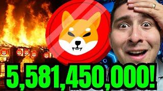 BREAKING SHIBA INU BURN NEWS!!! ($100,000 DELETED)