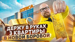 Держу в руках 3 квартиры в Новой Боровой | Золотой завод ЗОРКА