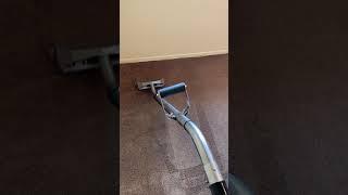 Carpet Cleaning of a super dirty carpet