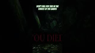 Dark Souls II: Scholar of The First Sin ️ DON’T FALL FOR THIS in the Forest of the Giants #ds2sotfs