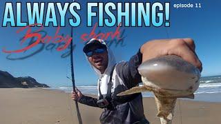 Always Fishing! 11 Baby shark