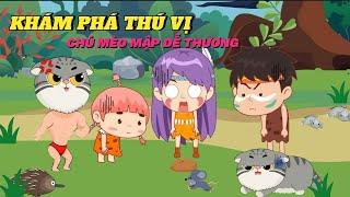 Chú Mèo mập dễ thương  và những câu chuyện thú vị | #hoathinhvuinhon #manul #kienthuc #kienthuc