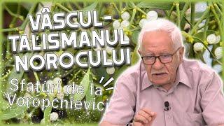 Vâscul - talismanul norocului absolut. Mihai Voropchievici, dezvăluiri tari