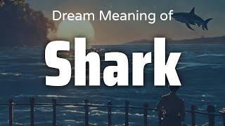 Shark Dream Meaning & Symbolism | Interpretation Psychology