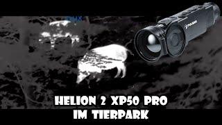 Pulsar Helion 2 XP 50 PRO - ein Besuch im Wildpark