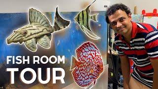 Some of the RAREST Fish in this Garage! Hobbyist Fish Room Tour!