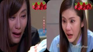 甘味人生王樂樂(王宇婕飾)哭(感動)戲