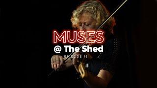 Muses @ The Shed | Episode 12 'Sweet Child O' Mine' Violin Cover